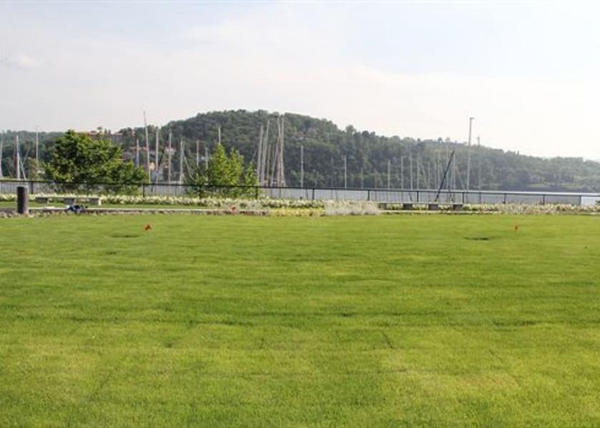Lombardy Laveno Mombello View from Property
