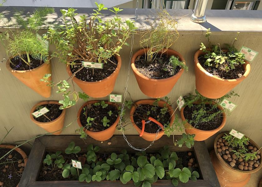 South Region Porto Alegre Terrace