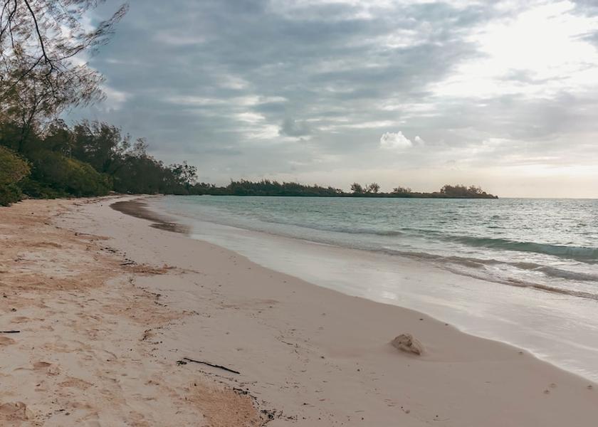 Kaskazini Pemba Region Pemba Island Facade