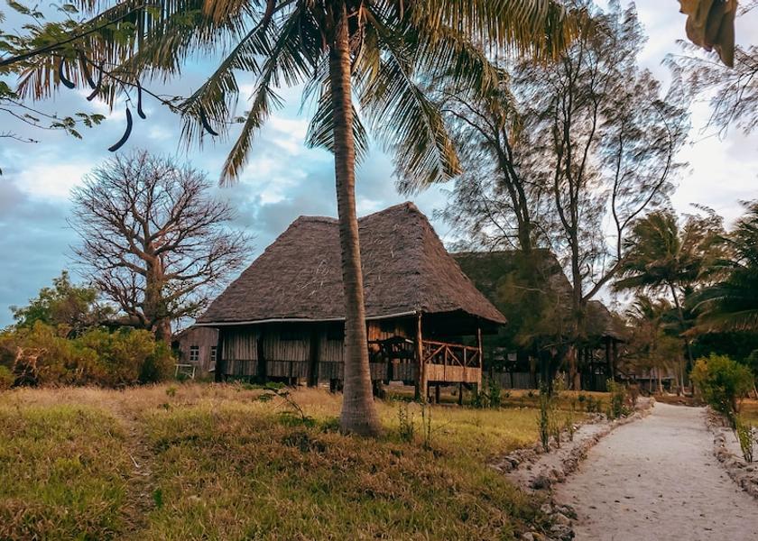 Kusini Pemba Region Kiweni View from property