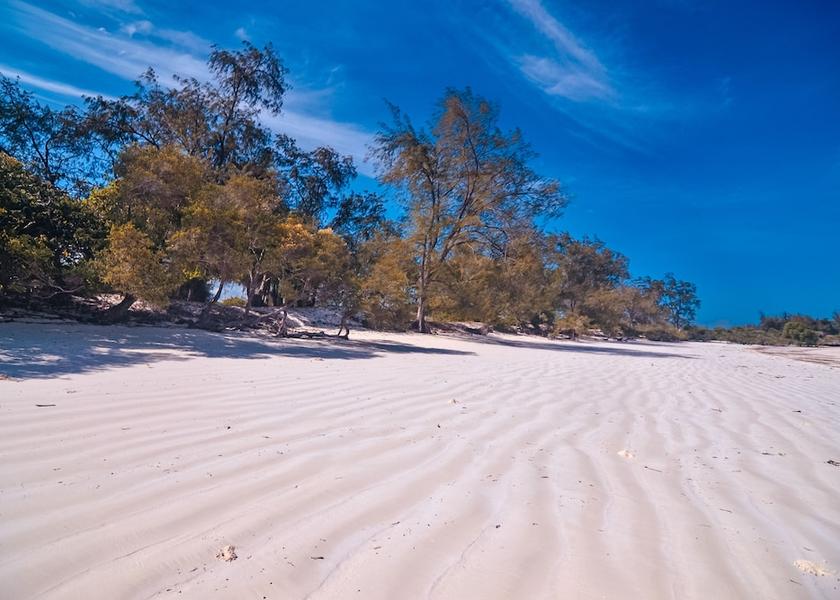 Kaskazini Pemba Region Pemba Island Facade