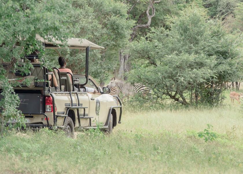  Livingstone Safari and game
