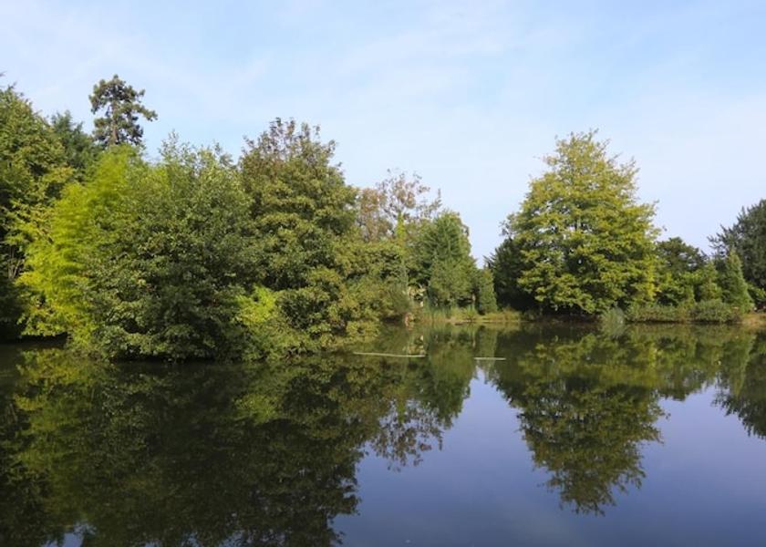 England Guildford Lake