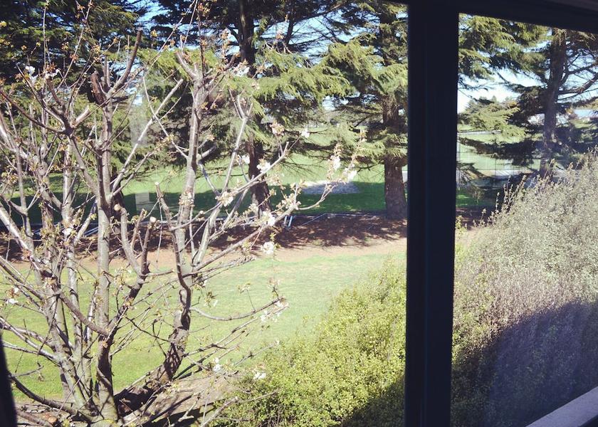 Canterbury Christchurch View from room