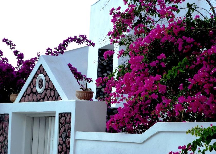 South Aegean Santorini View from Property