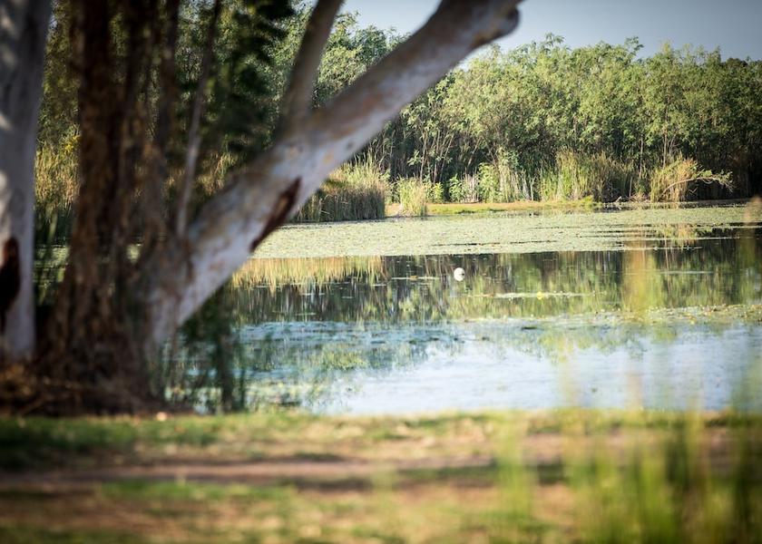 Western Australia Kununurra Exterior