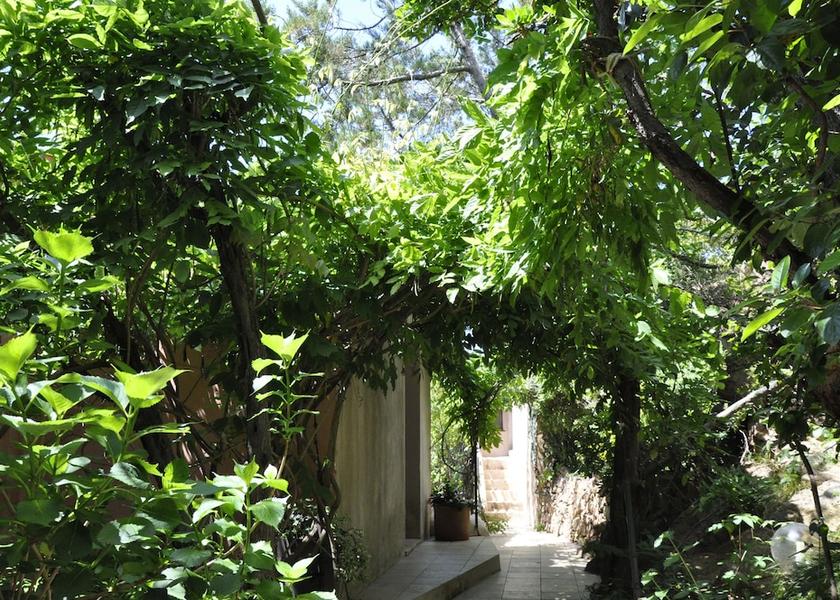 Corsica Porto-Vecchio Garden