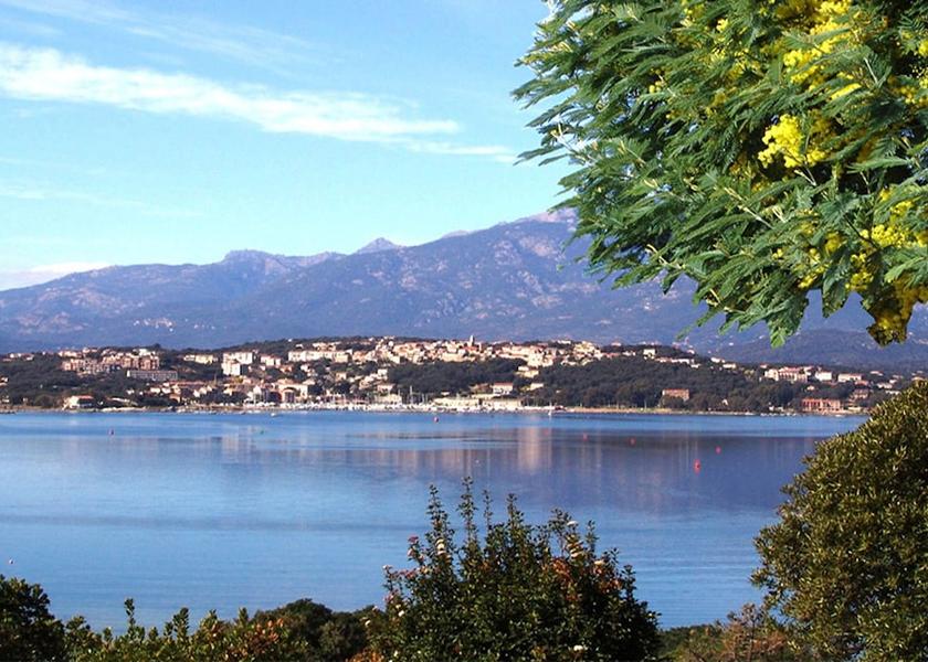 Corsica Porto-Vecchio View from Property