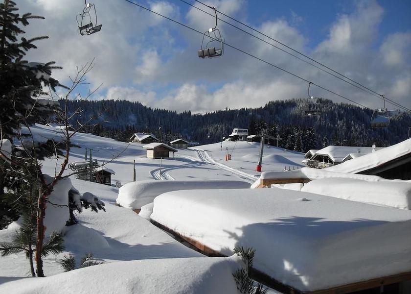 Auvergne-Rhone-Alpes Morzine Exterior Detail