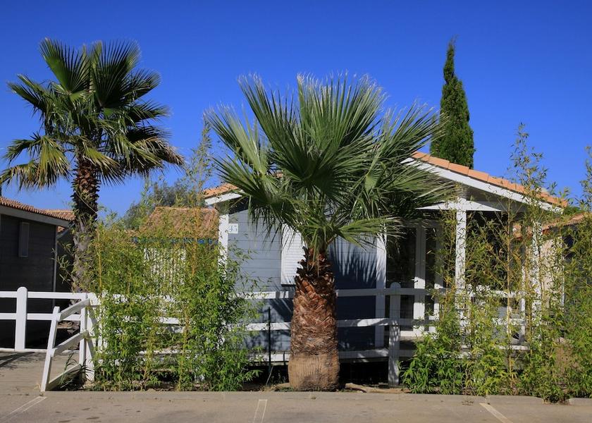 Occitanie Gruissan Garden View