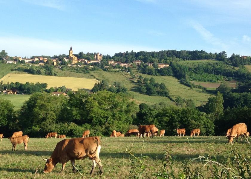Auvergne-Rhone-Alpes Bully Exterior Detail