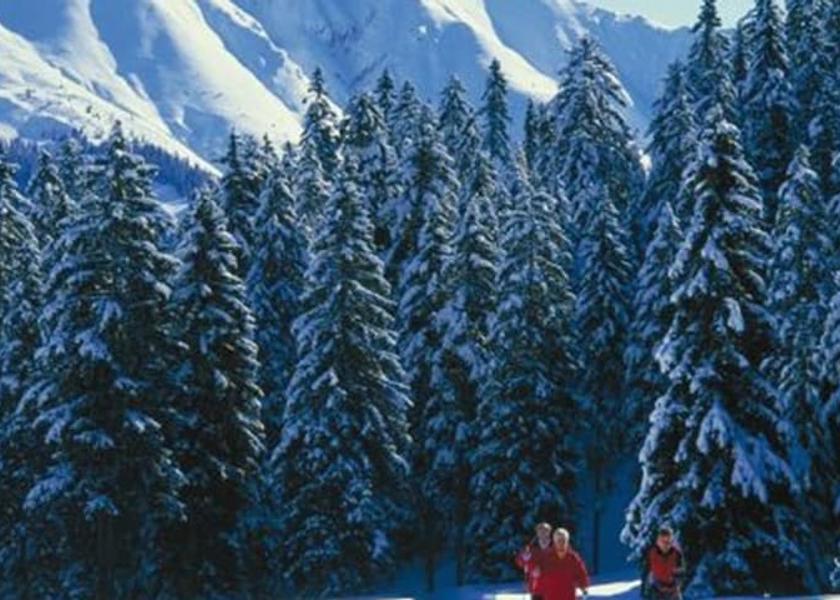 Tyrol Seefeld in Tirol Hiking