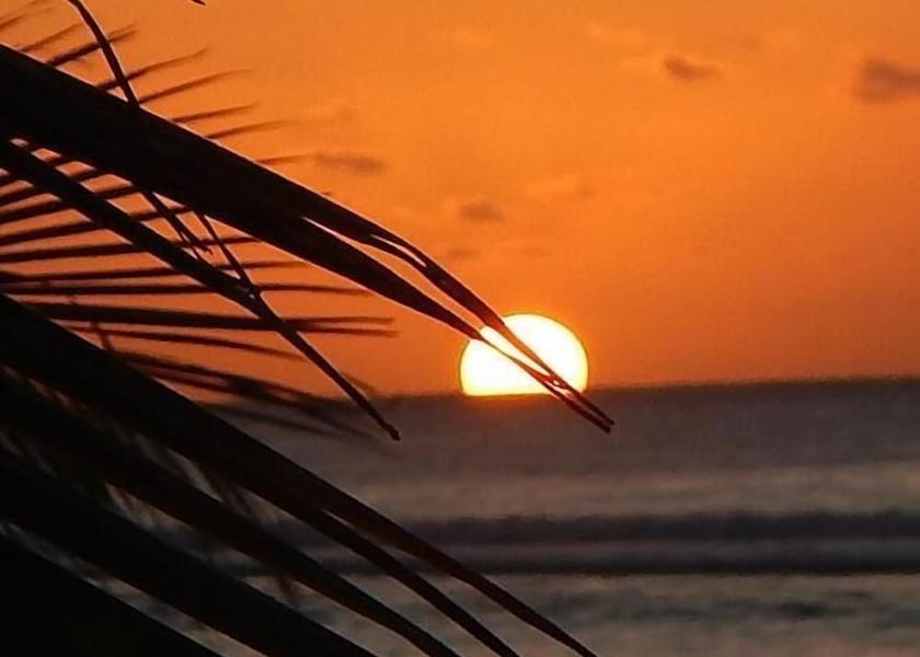  Rarotonga Exterior Detail