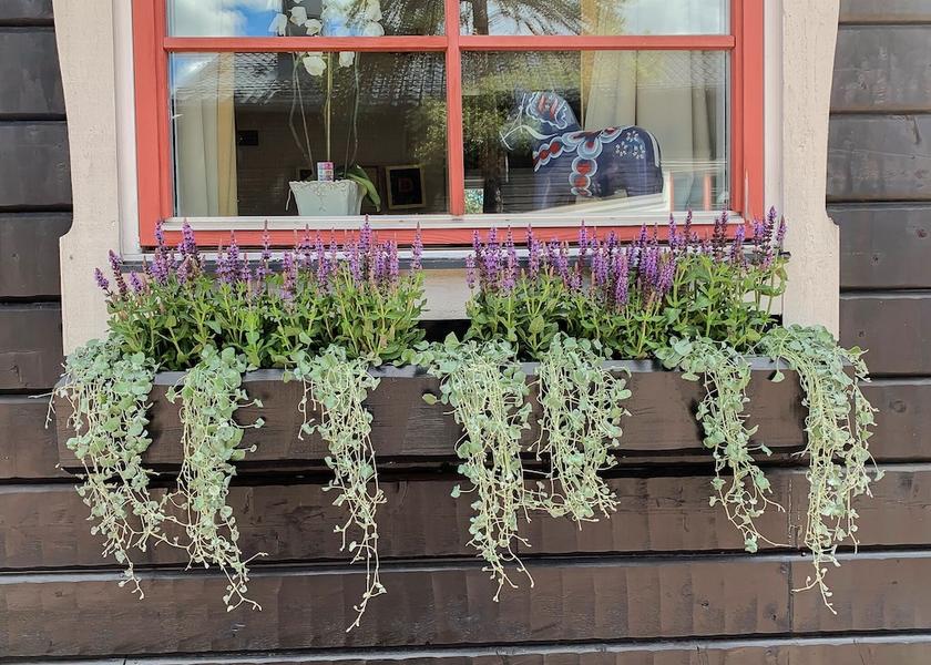 Dalarna County Salen Garden
