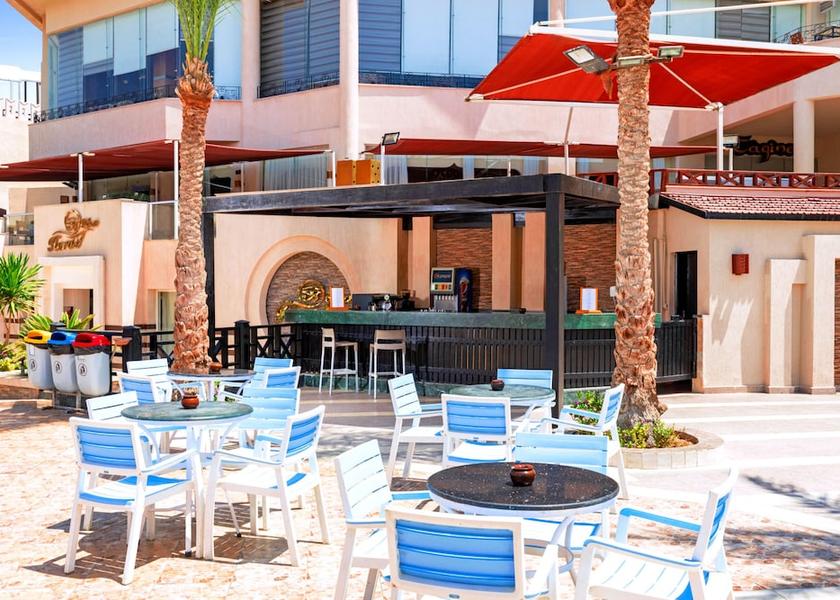 South Sinai Governorate Sharm El Sheikh Bar (on property)