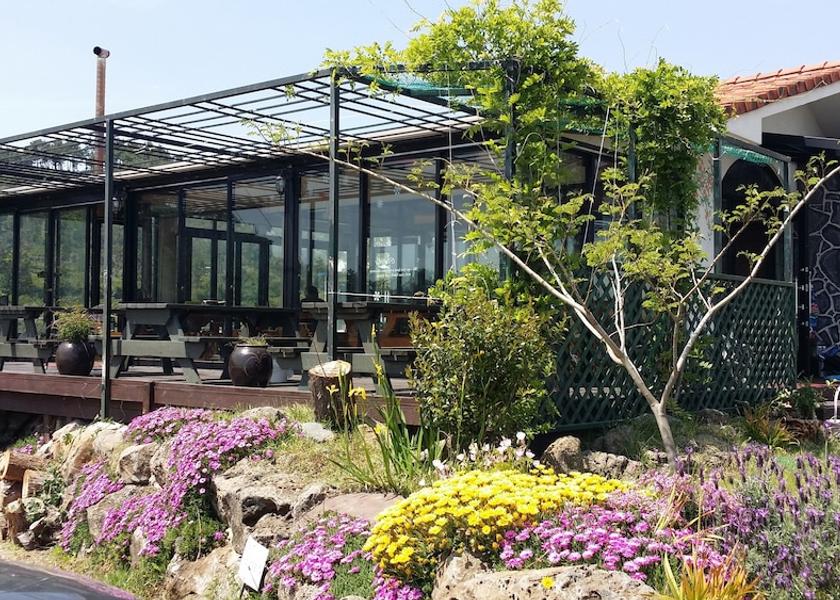 Jeju Seogwipo Outdoor dining