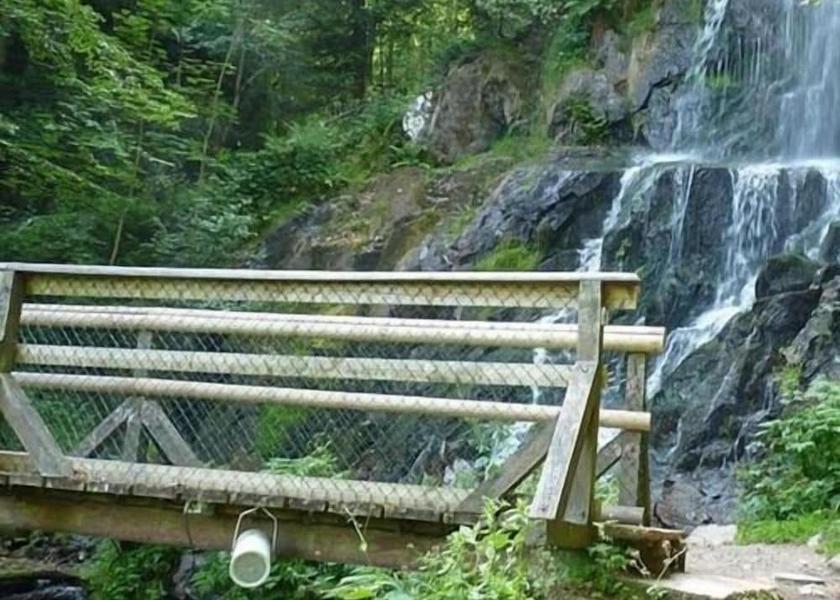 Grand Est Le Hohwald Exterior Detail