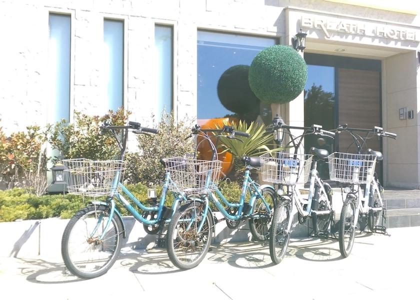 Kanagawa Fujisawa Bicycling
