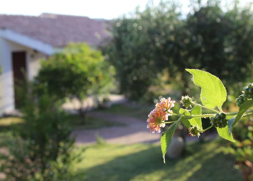 Sardinia Budoni Exterior Detail