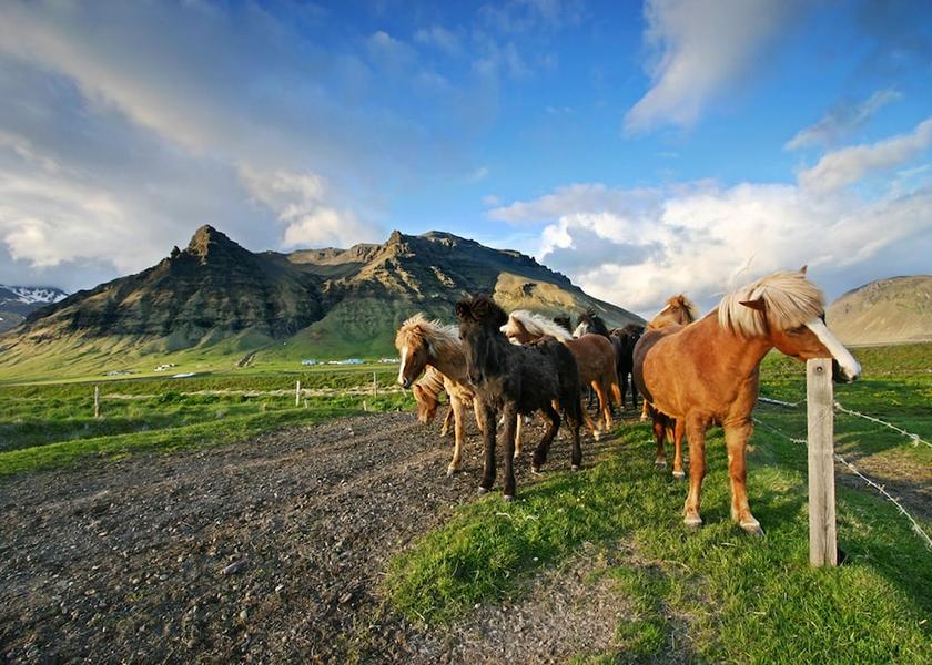 Southern Region Rangárþing eystra Property Grounds