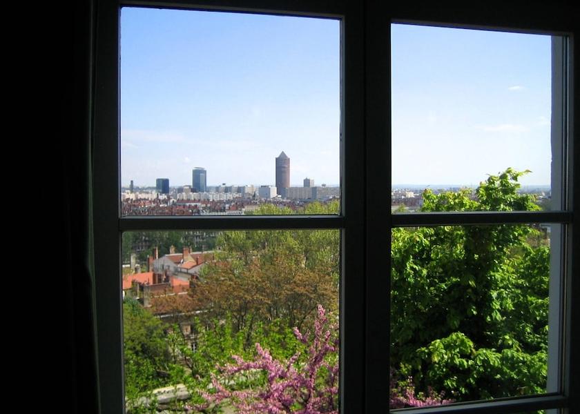 Auvergne-Rhone-Alpes Lyon View from Property