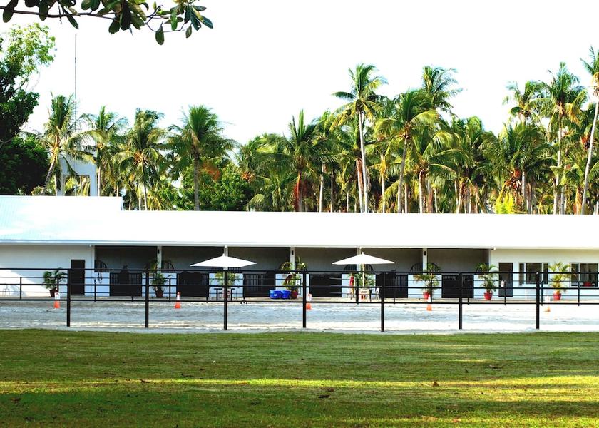  Daanbantayan Horse Riding