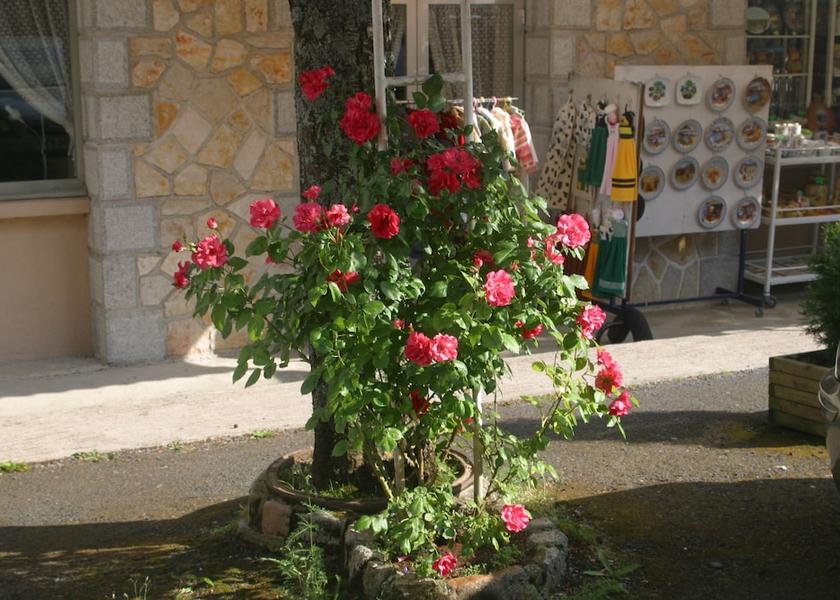 Auvergne-Rhone-Alpes Anglards-de-Saint-Flour Exterior Detail