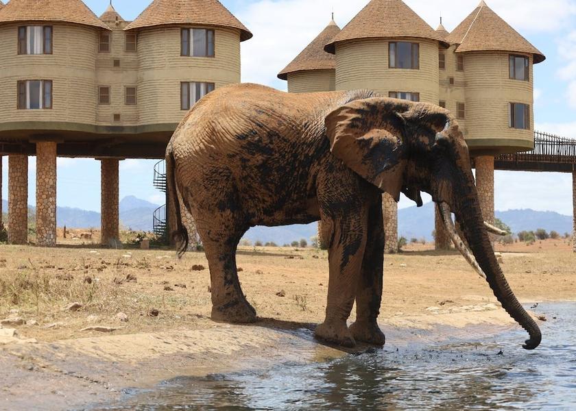 Taita-Taveta County Taita Hills Game viewing