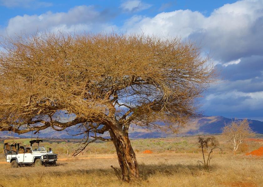 Taita-Taveta County Taita Hills Safari