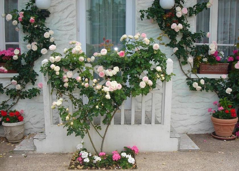 Ile-de-France Rungis Exterior Detail