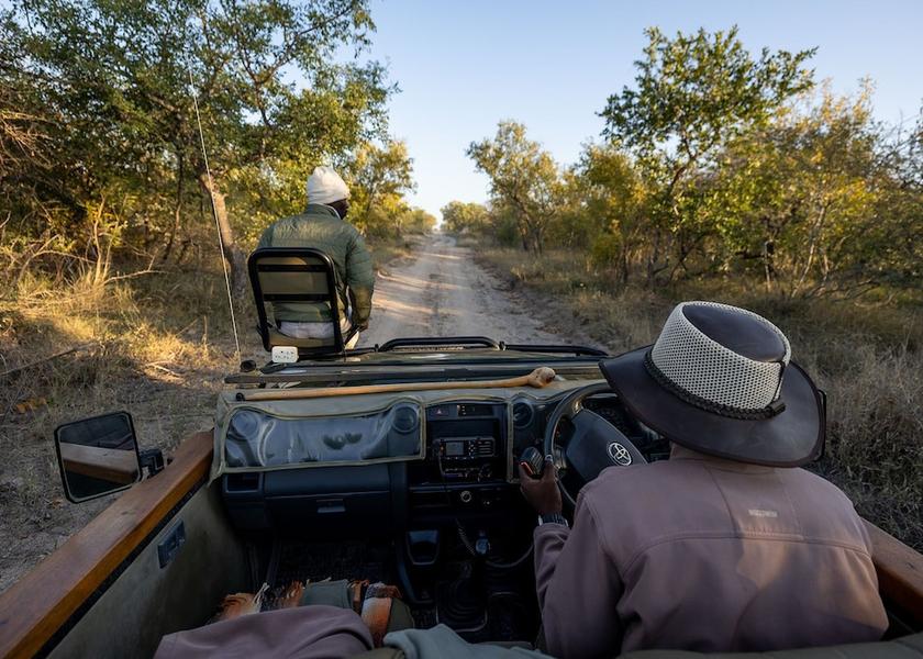 Limpopo Tzaneen Safari