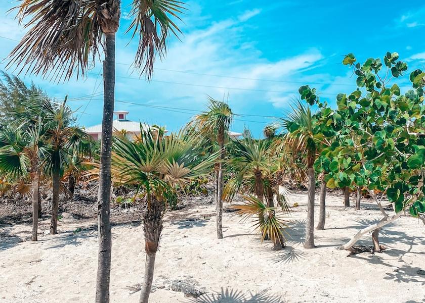 Exuma William's Town Facade