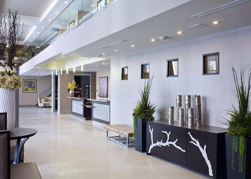 Waikato Hamilton Reception