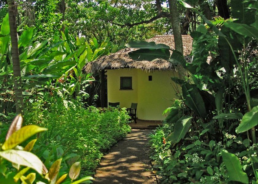 Arusha Region Arusha Terrace