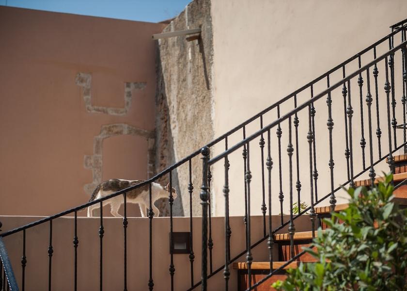 Crete Island Chania Terrace