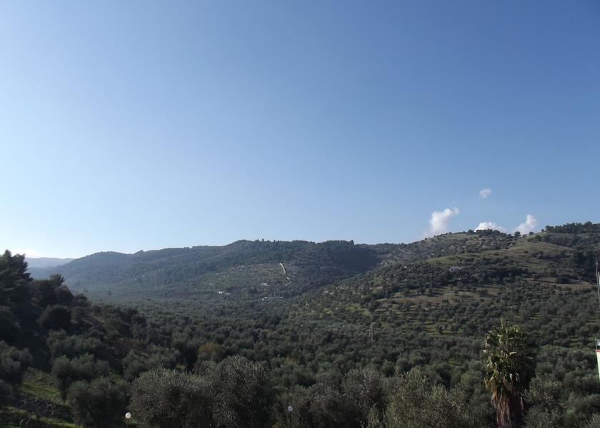 Puglia Vieste View from Property