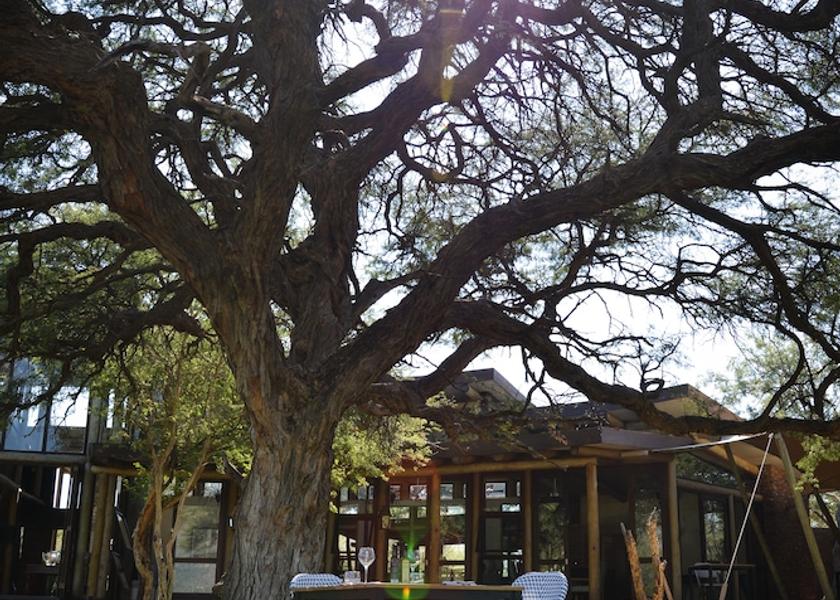 Limpopo Lephalale Property Grounds