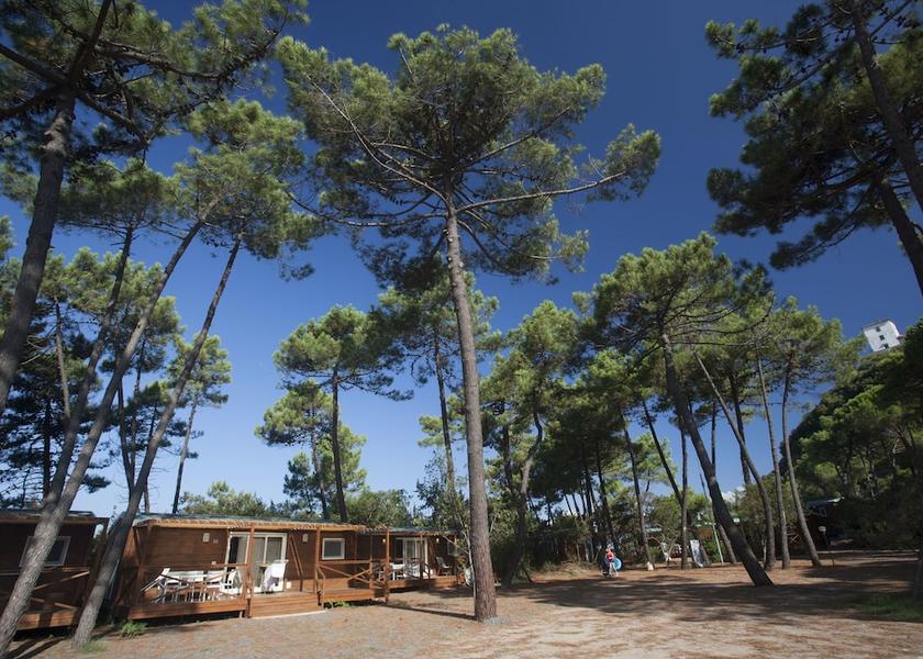 Tuscany Castiglione della Pescaia Property grounds