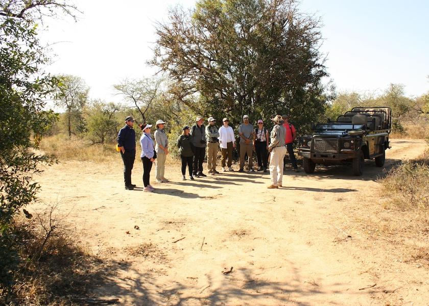 Limpopo Tzaneen Safari and game