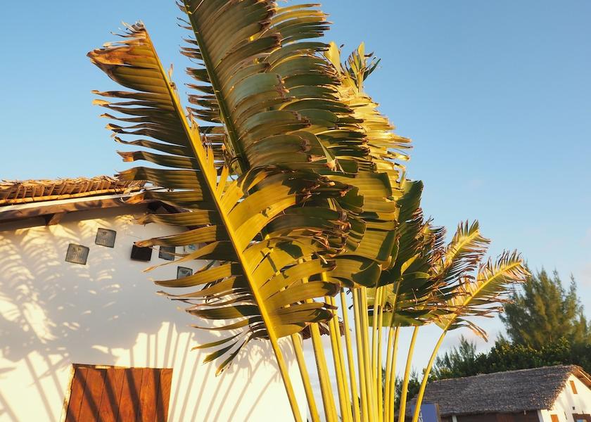  Ile Sainte-Marie Exterior Detail