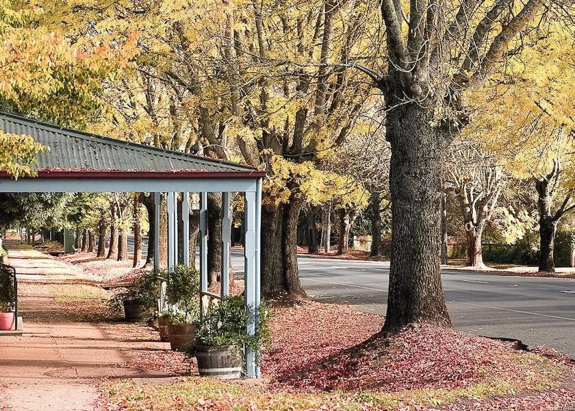 Victoria Hepburn Springs Segway tours