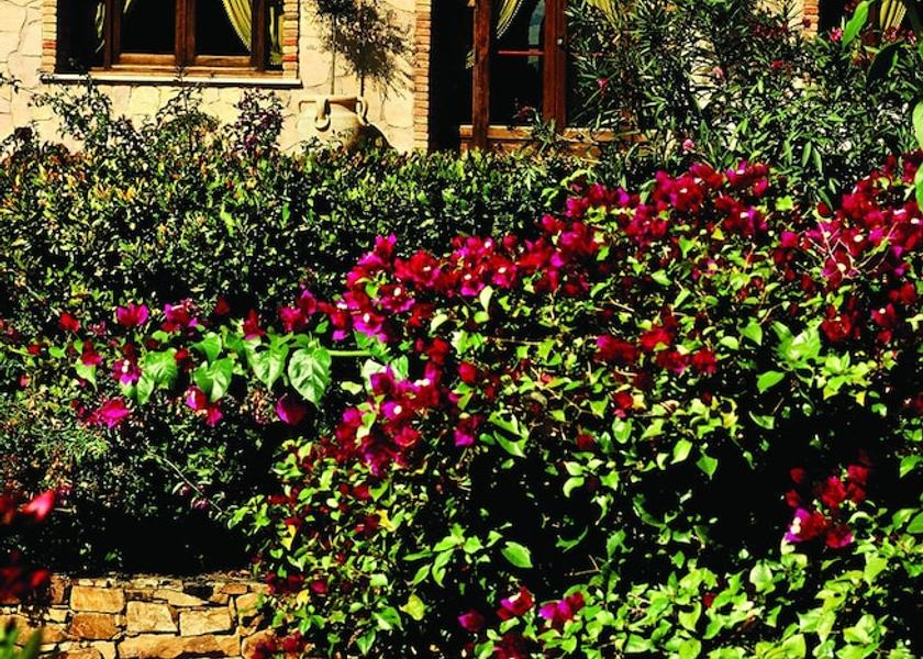 Sicily Alia Exterior Detail