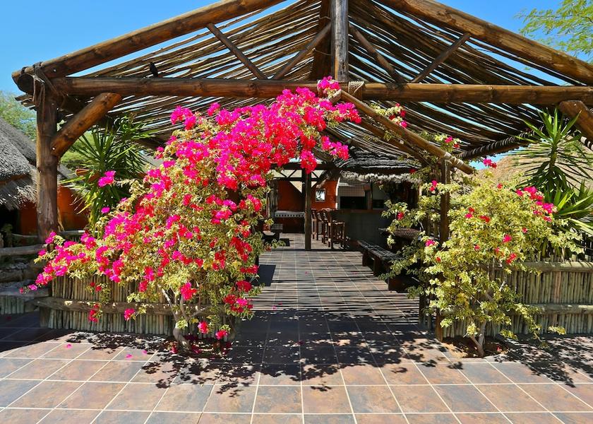  Solitaire Property Grounds