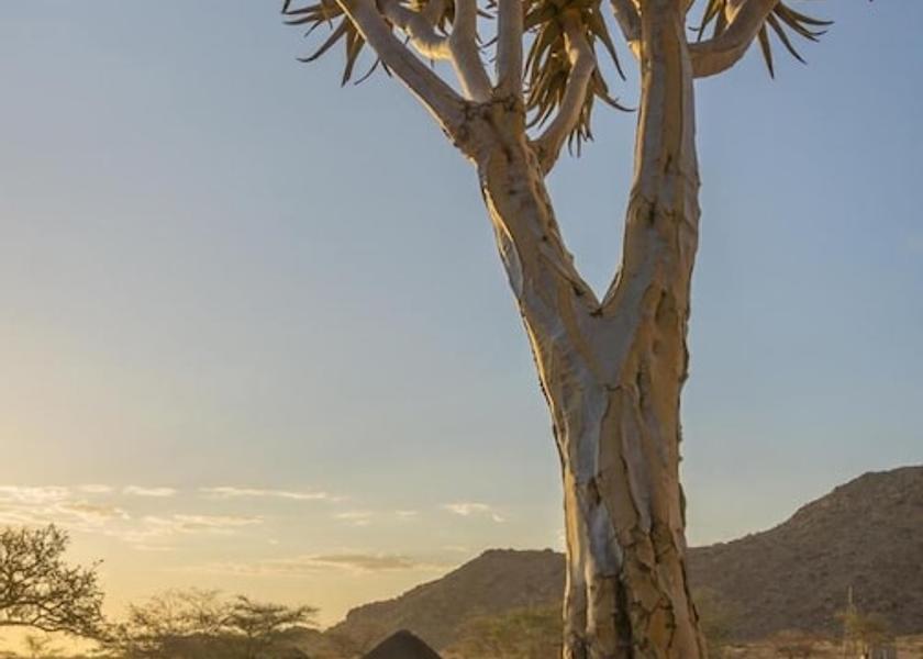  Solitaire Property Grounds