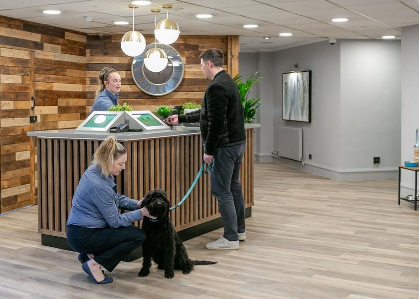 England Huddersfield Pet-Friendly