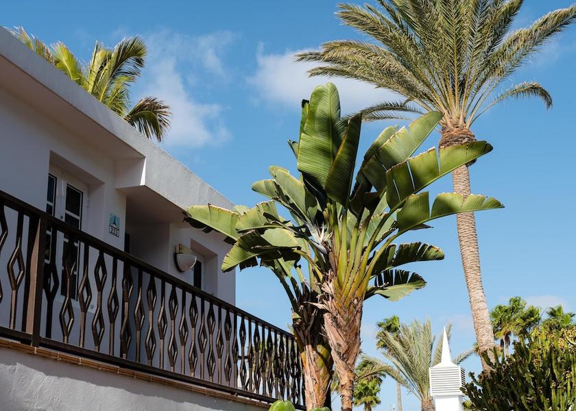 Canary Islands Tías Exterior