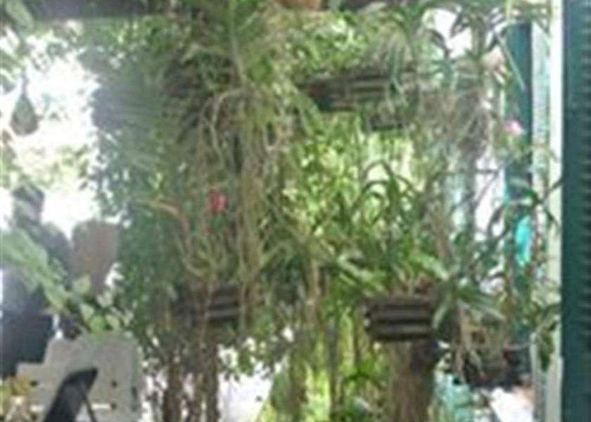Siem Reap Siem Reap Porch