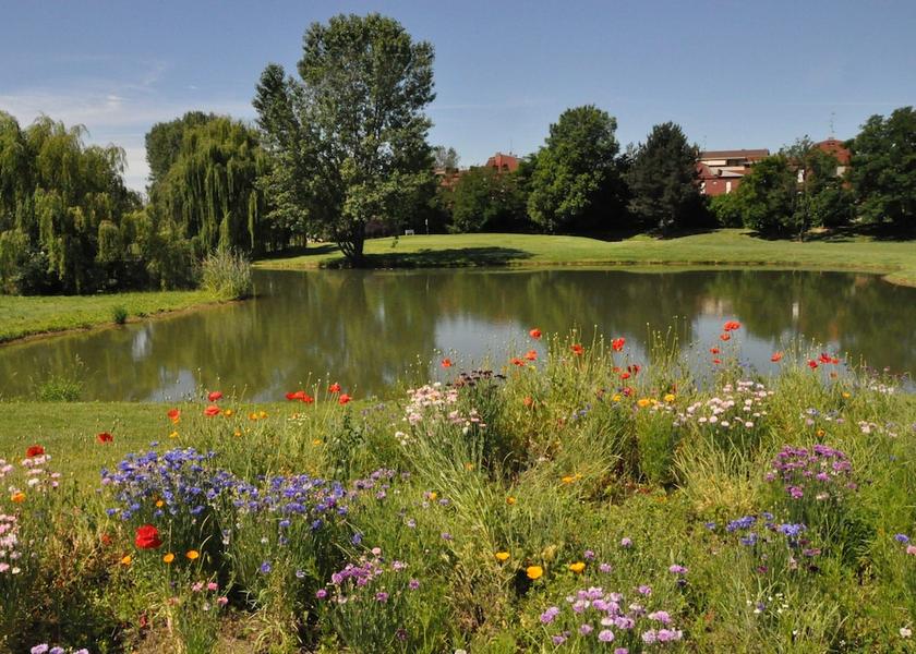 Lombardy Lainate Golf