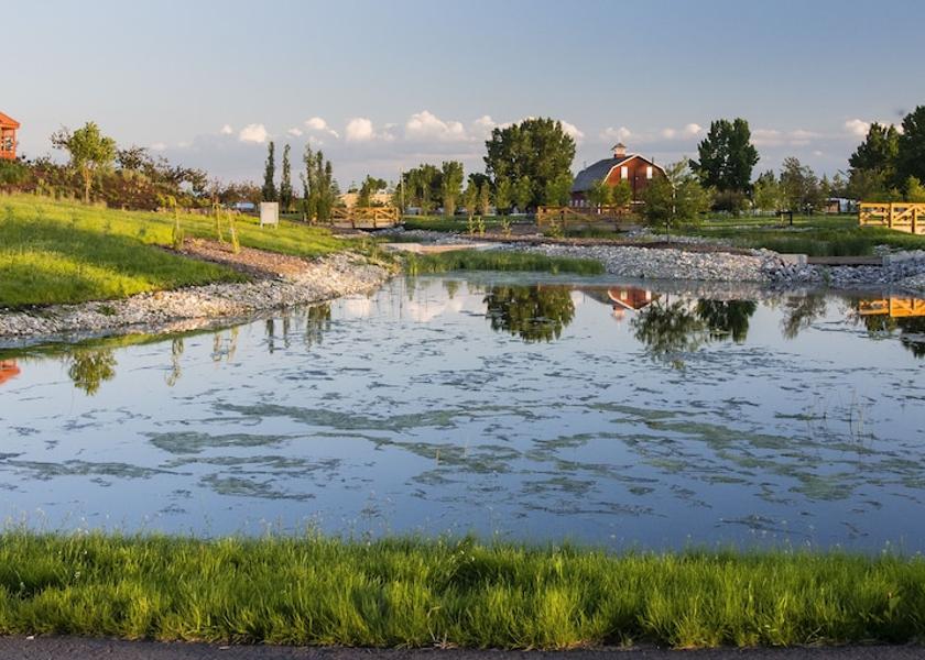 Alberta Olds Aerial View
