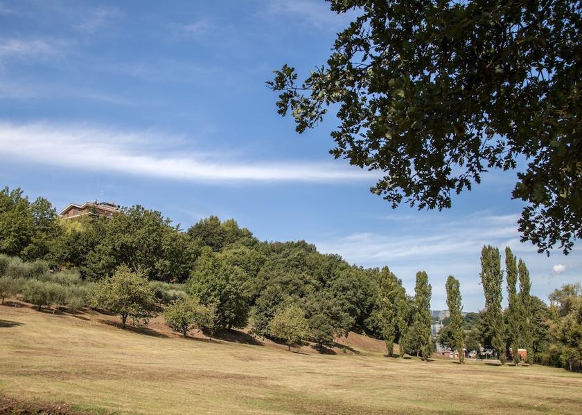 Lazio Castel Madama View from Property